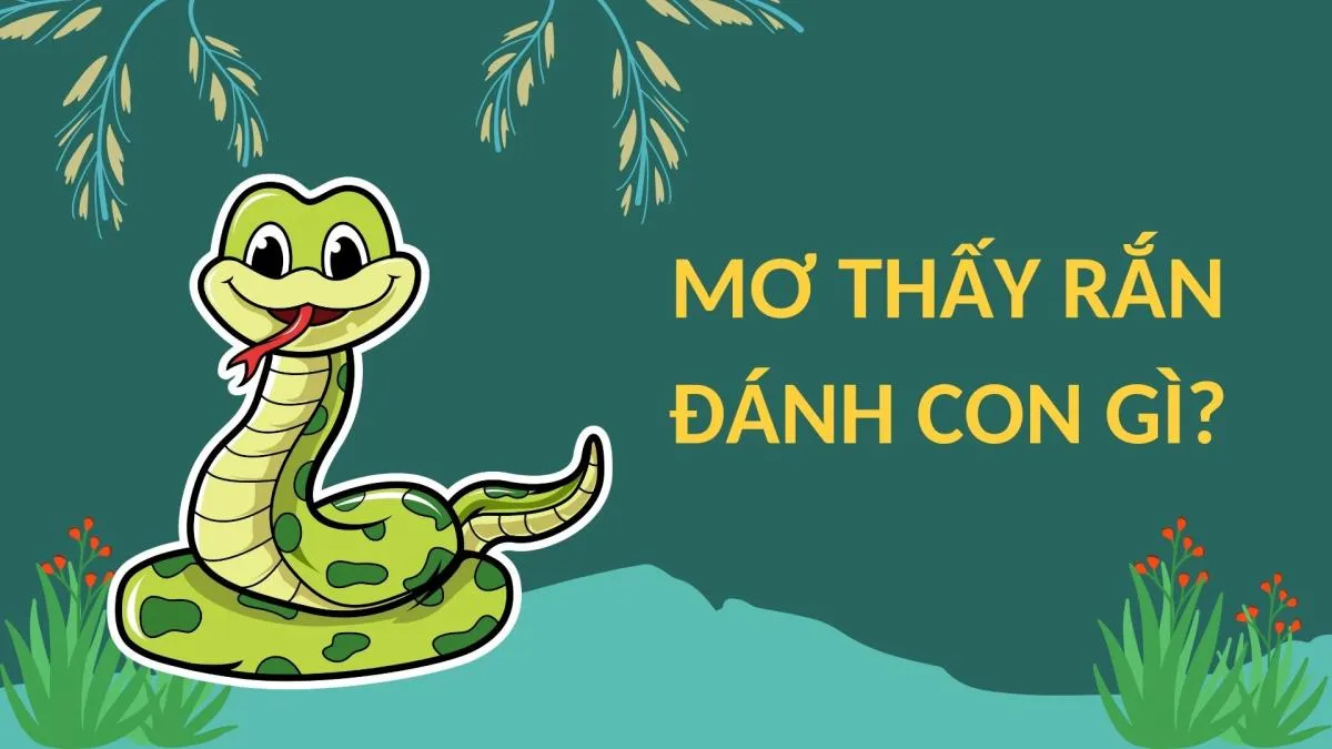 Nằm Mơ Thấy Rắn Cắn Thì Đánh Gì Tại Yo88
