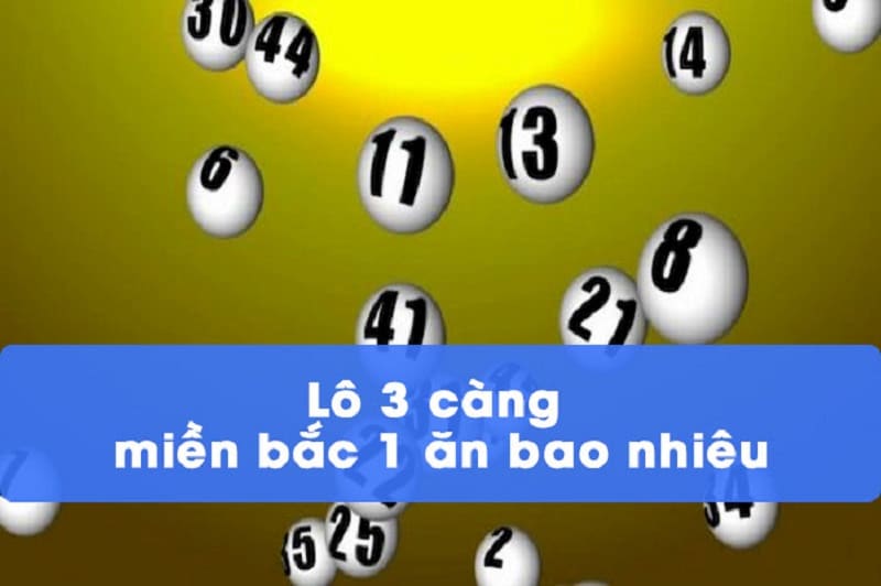 lô 3 càng